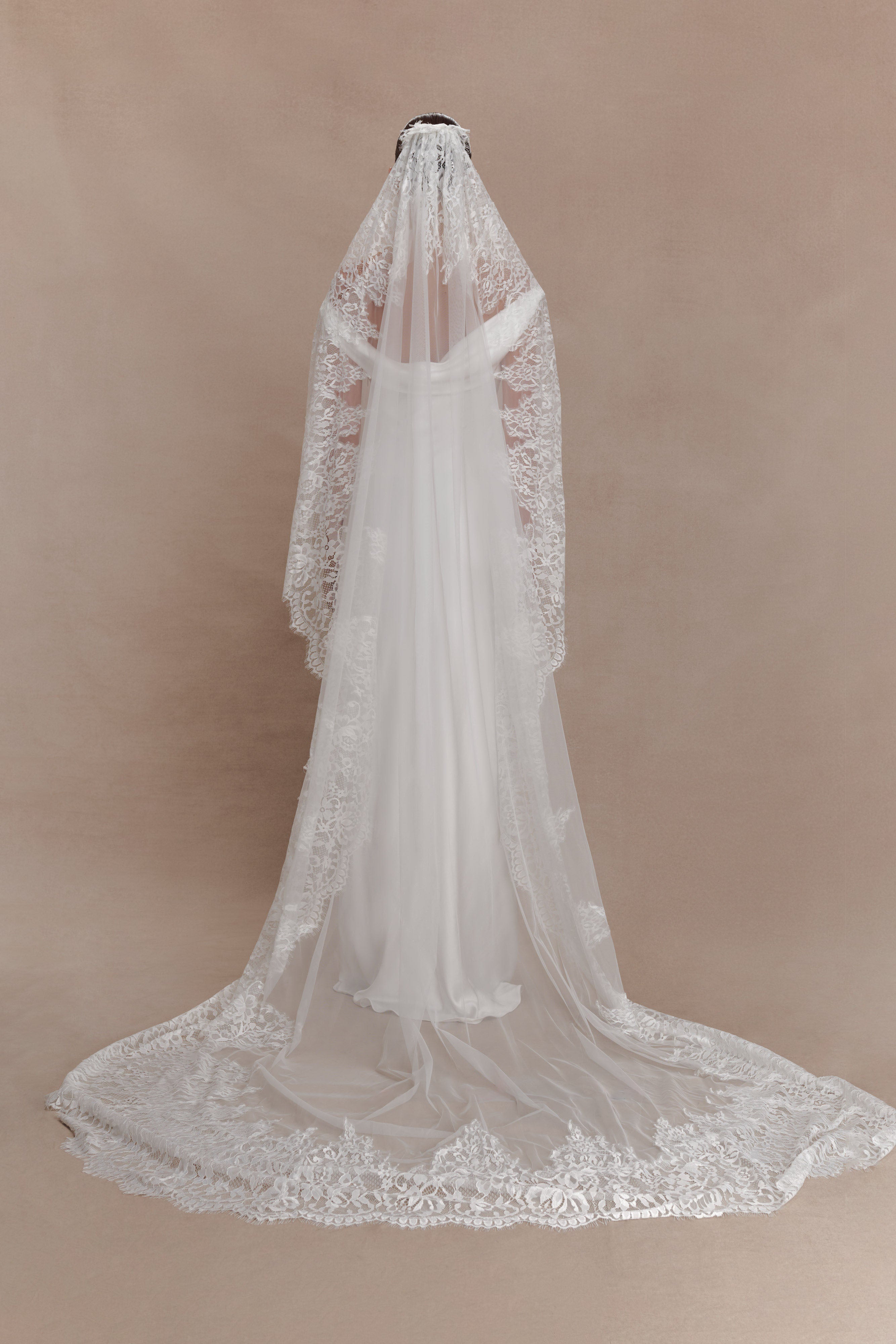 Alternative view of Cassia Lace Trim Veil - White